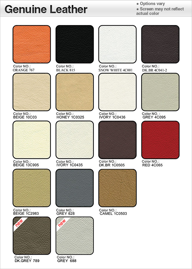 Genuine Leather Swatches