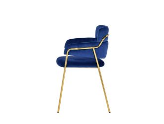 Modrest Tessa Modern Blue Velvet & Gold Dining Chair (Set of 2)