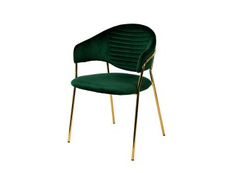 Modrest Trevor Modern Green Velvet & Gold Dining Chair (Set of 2)
