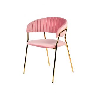 Modrest Brandy Modern Pink Fabric Dining Chair (Set of 2)